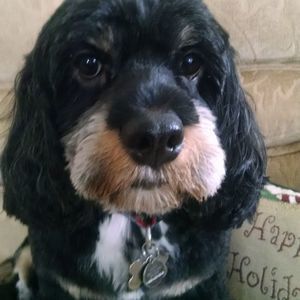 Meet your Posher, Maureen